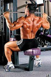 back weight training